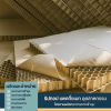 โรงงานผลิตกระดาษรังผึ้ง - โรงงานผลิตกระดาษฉากเข้ามุม