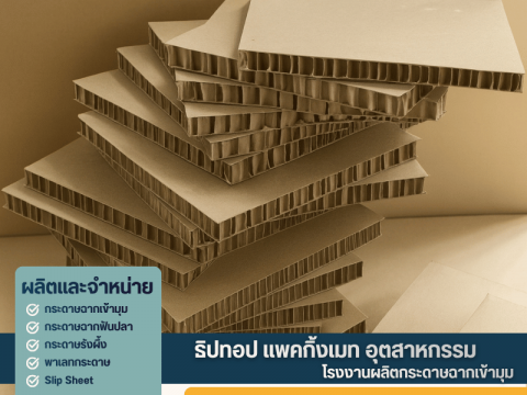 โรงงานขายส่งกระดาษรังผึ้ง