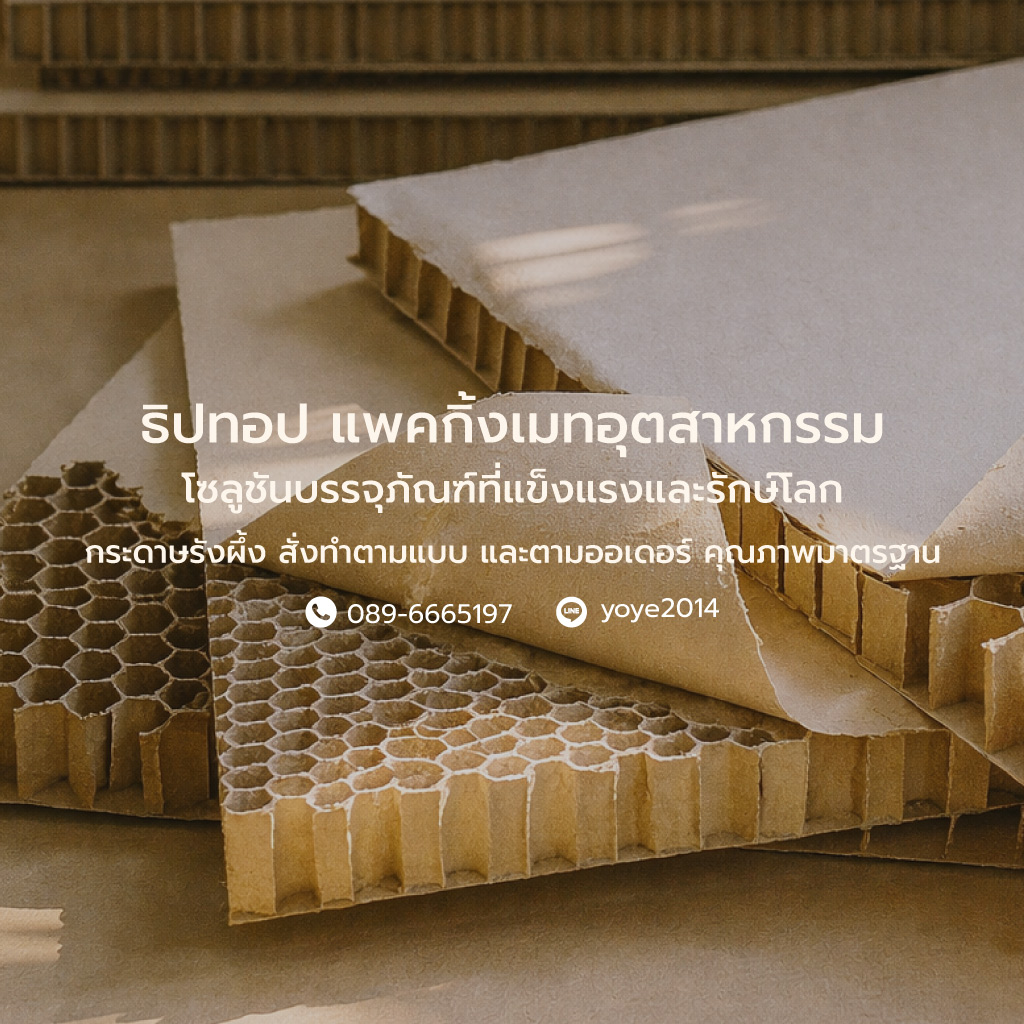 โรงงานผลิตกระดาษฉากเข้ามุม